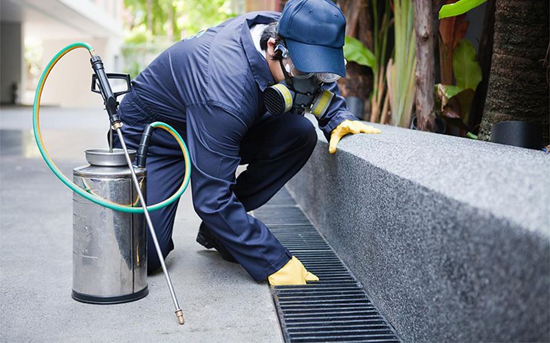 Sandıklı Böcek İlaçlama Afyonkarahisar Profesyonel Uygulama